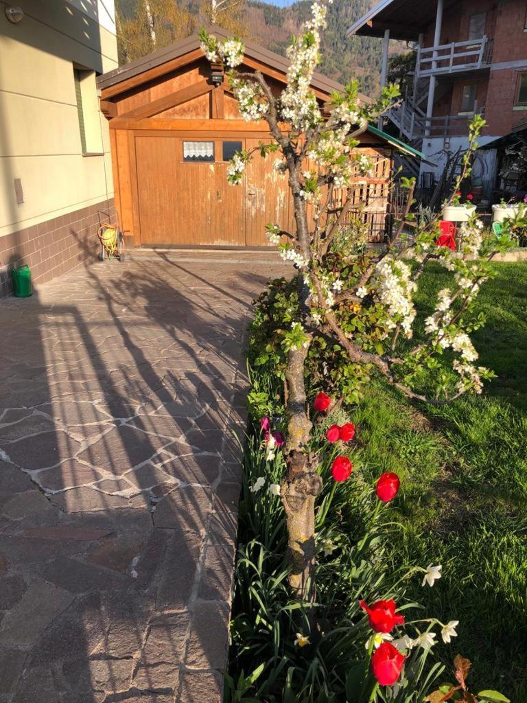 Appartamento Luminoso, Giardino, Vista Dolomiti. Baselga di Pinè Exterior foto